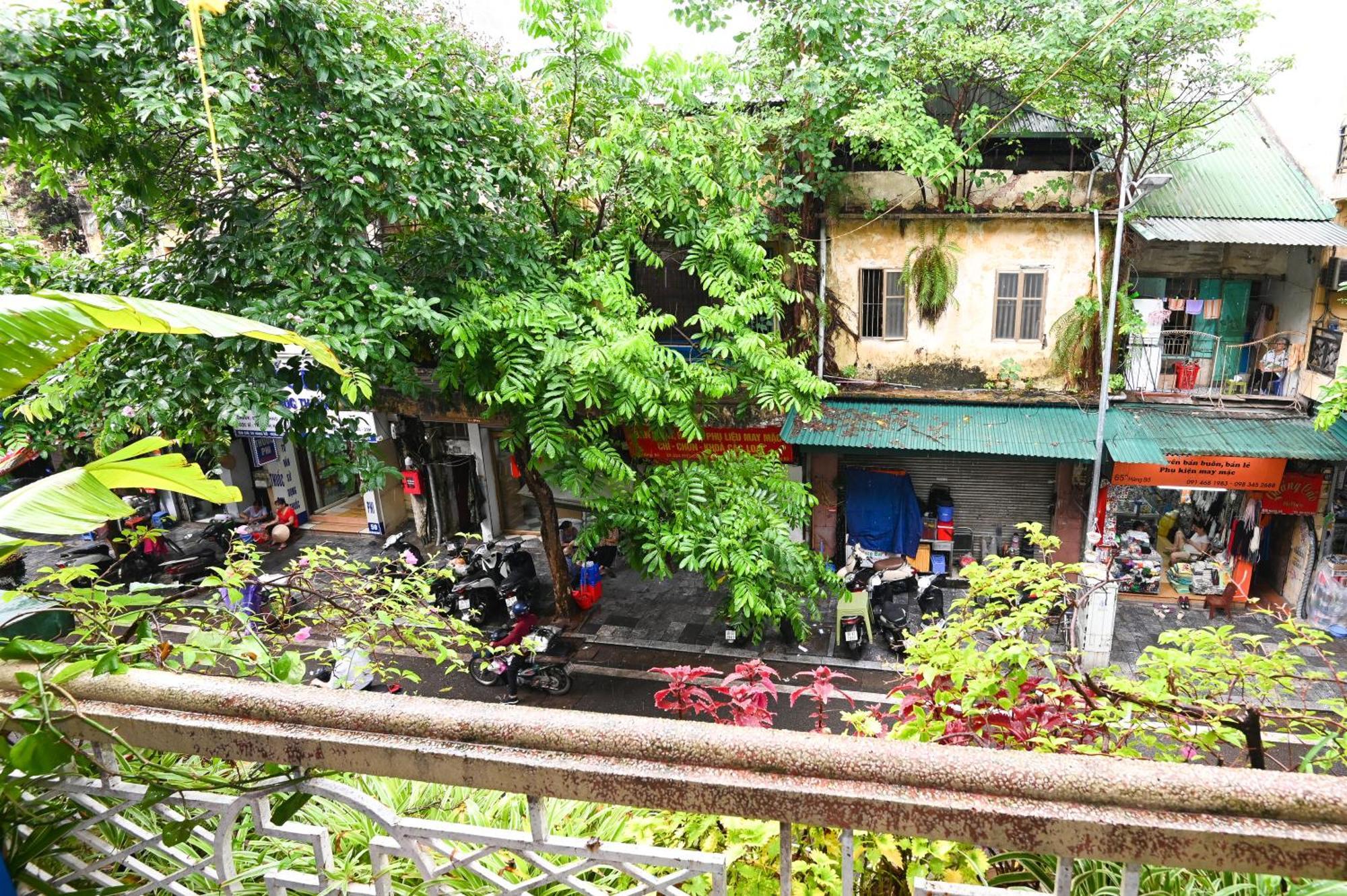 Sunny Hanoi Homestay Bagian luar foto